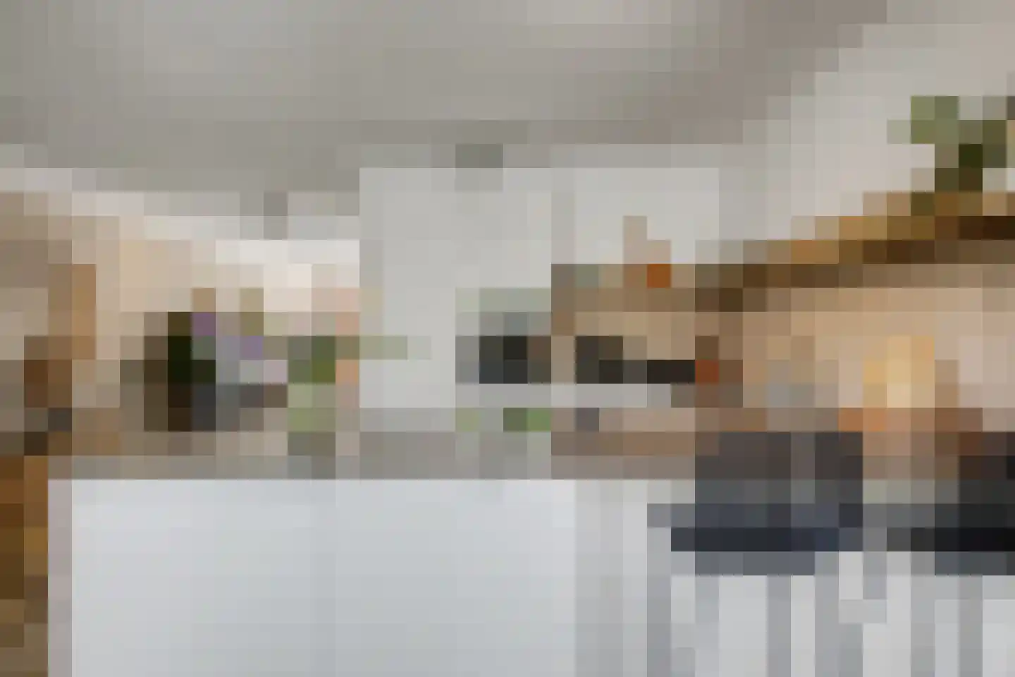 Zonnewende 29 Arnhem thumbnail 20
