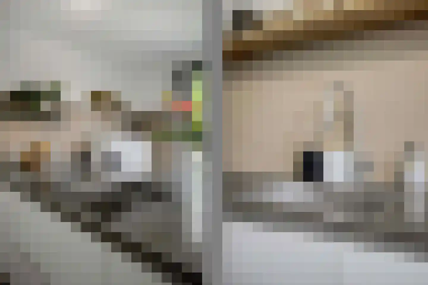 Zonnewende 29 Arnhem thumbnail 22