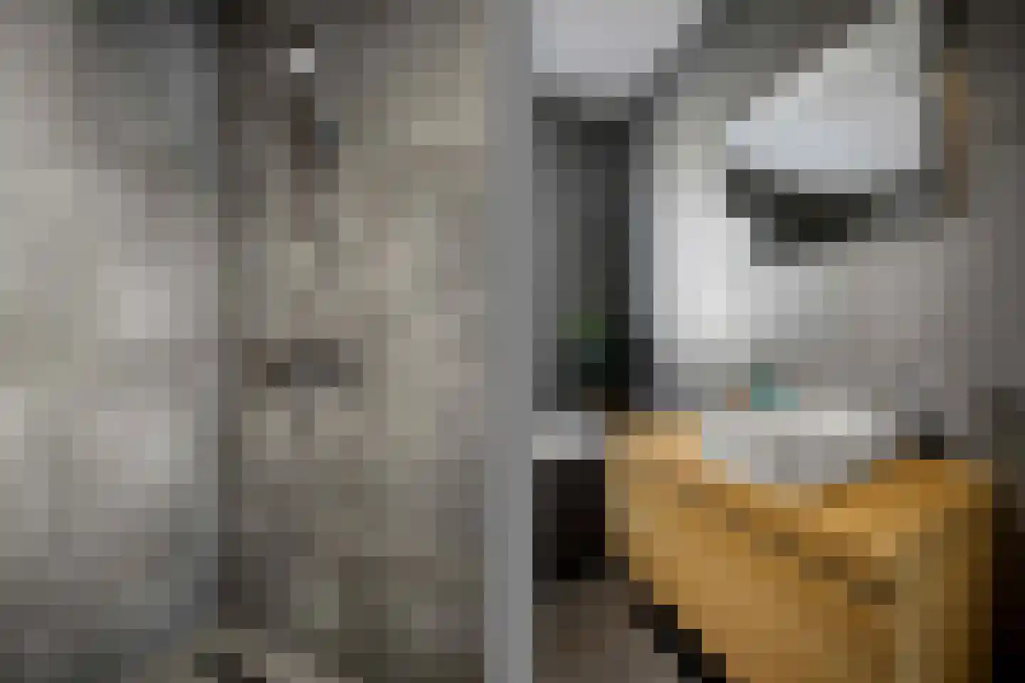 Zonnewende 29 Arnhem thumbnail 39