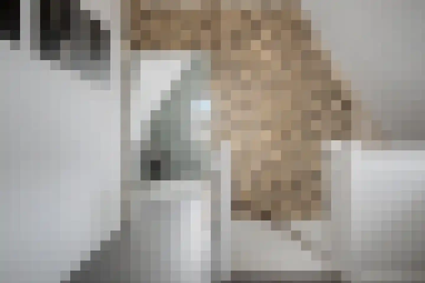 Zonnewende 29 Arnhem thumbnail 41