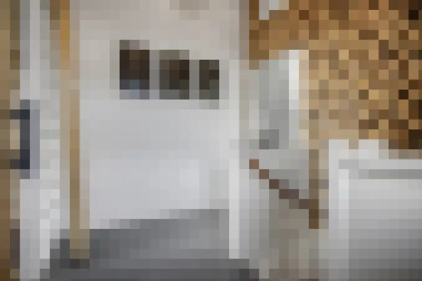 Zonnewende 29 Arnhem thumbnail 42