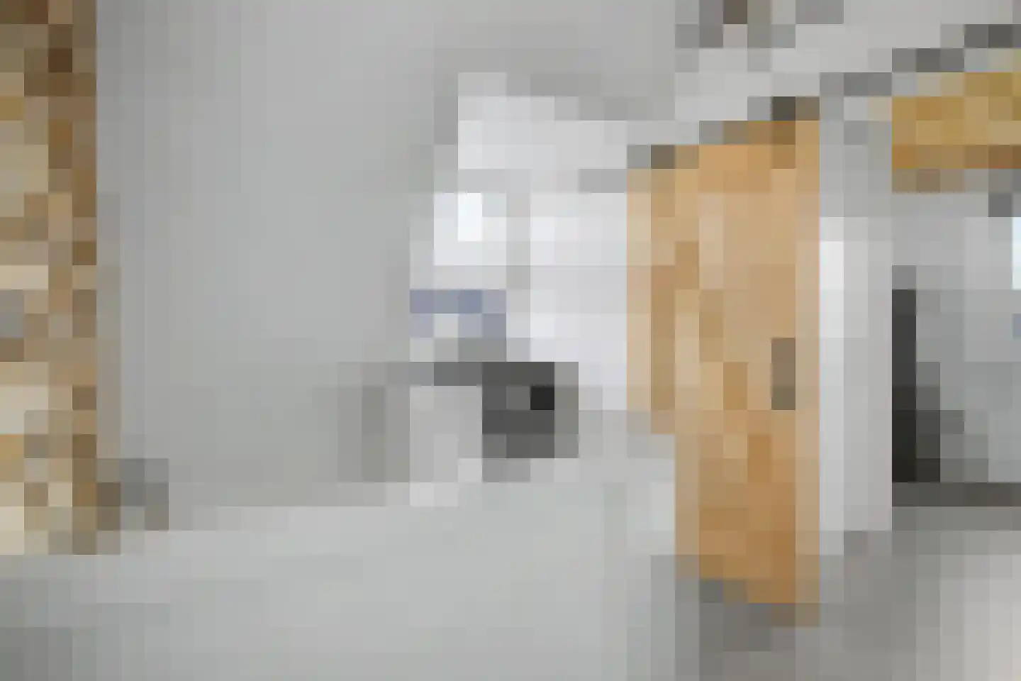 Zonnewende 29 Arnhem thumbnail 43