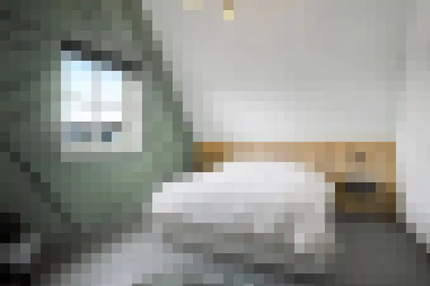 Zonnewende 29 Arnhem thumbnail 46