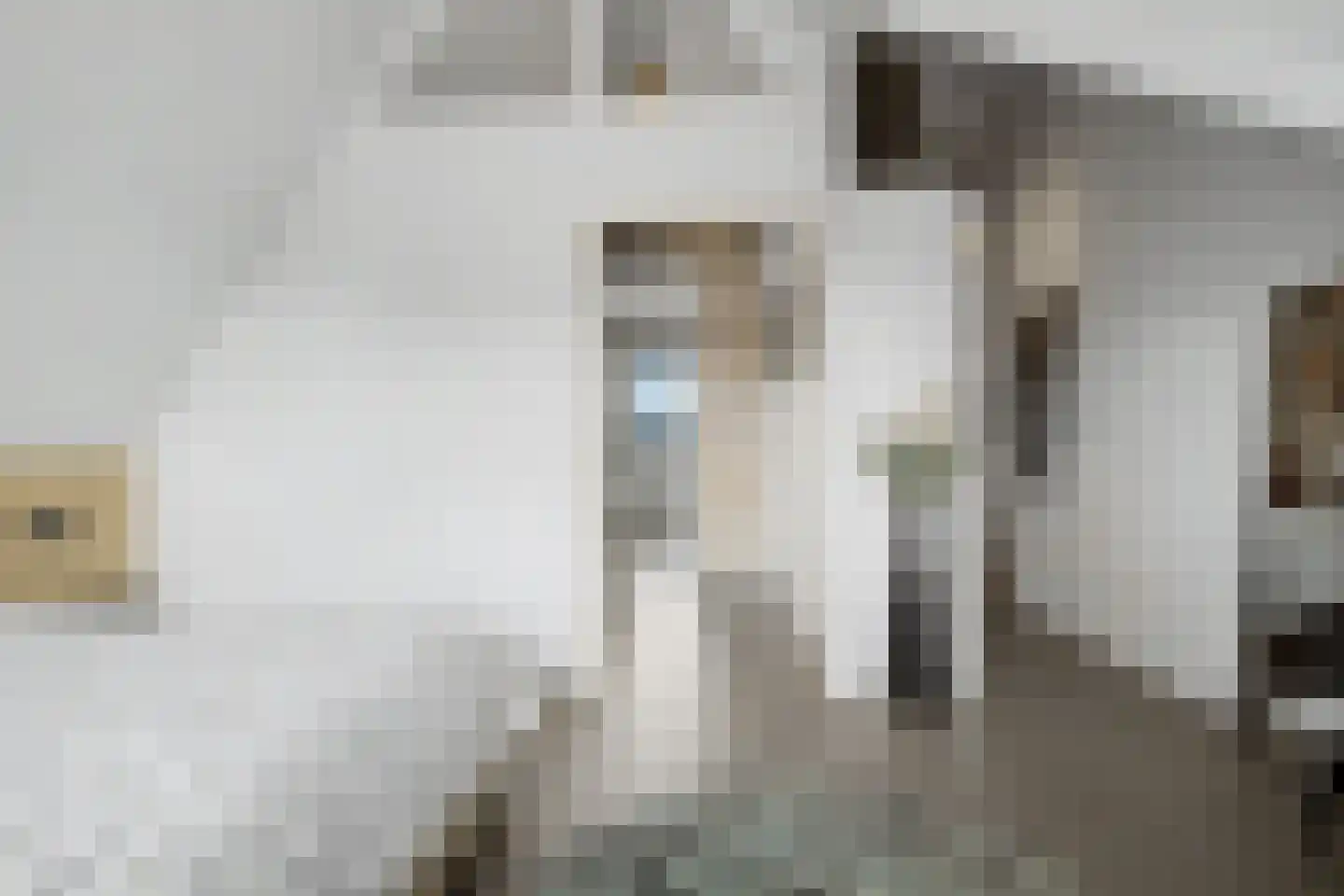 Zonnewende 29 Arnhem thumbnail 47