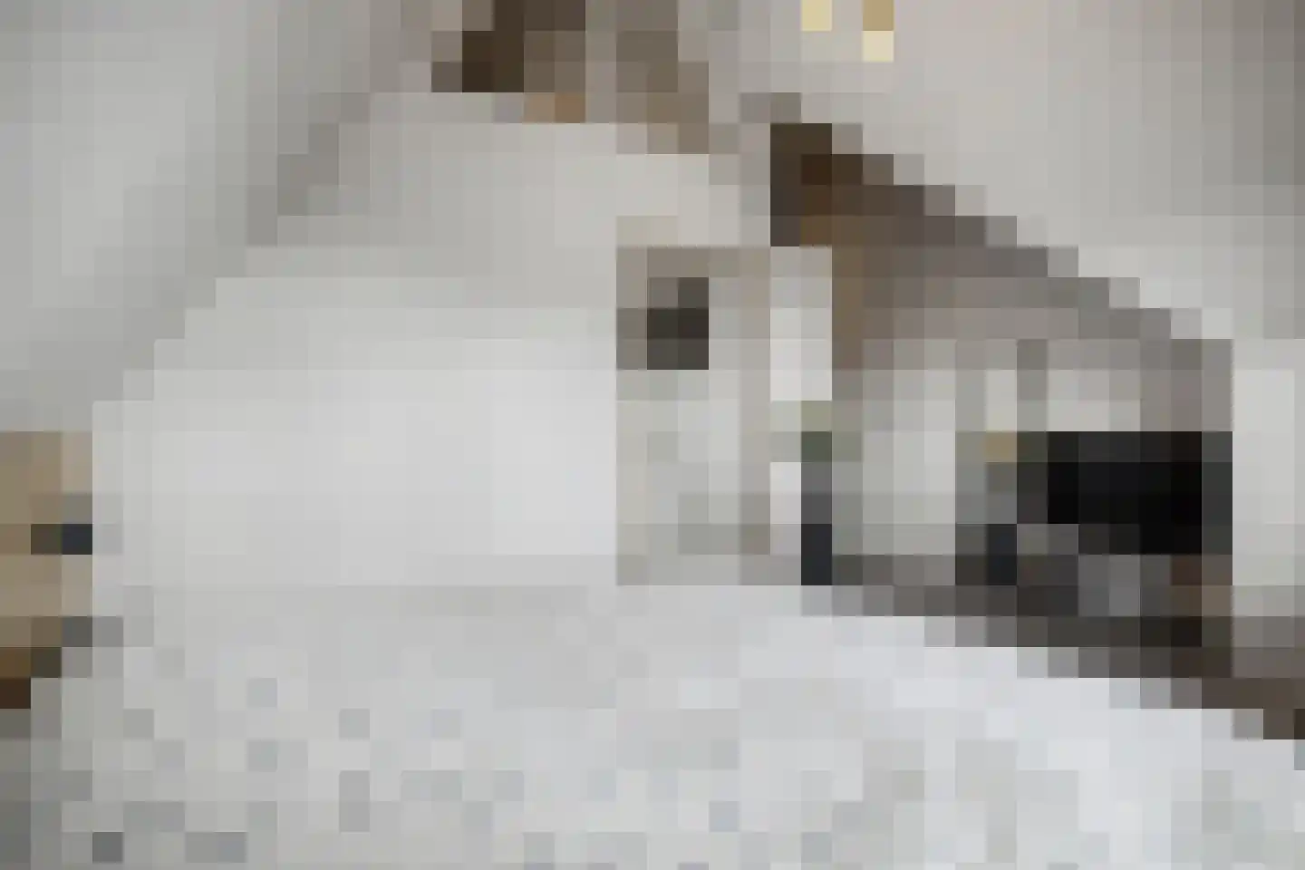 Zonnewende 29 Arnhem thumbnail 48