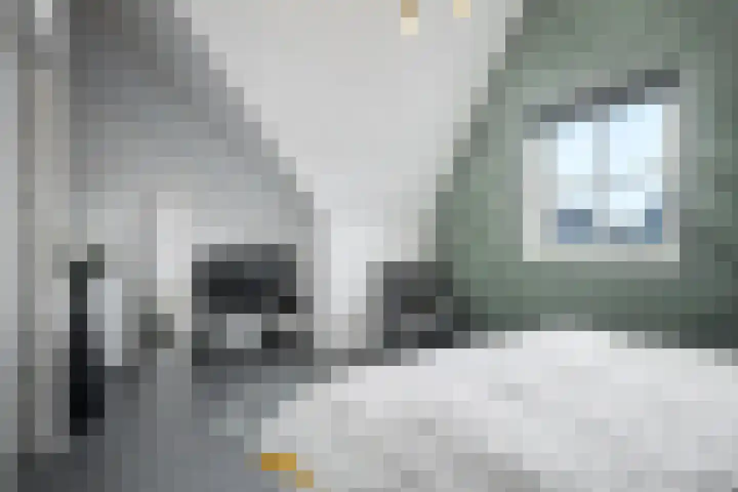 Zonnewende 29 Arnhem thumbnail 49