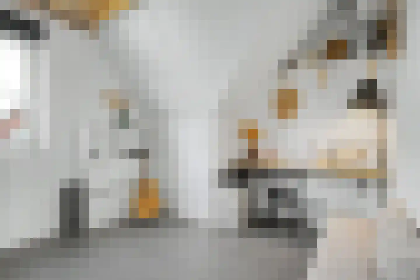 Zonnewende 29 Arnhem thumbnail 51