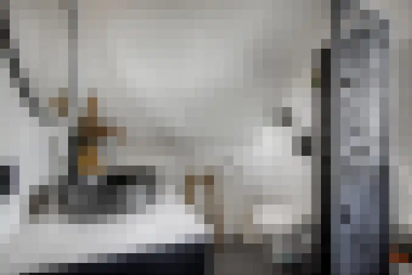 Zonnewende 29 Arnhem thumbnail 54