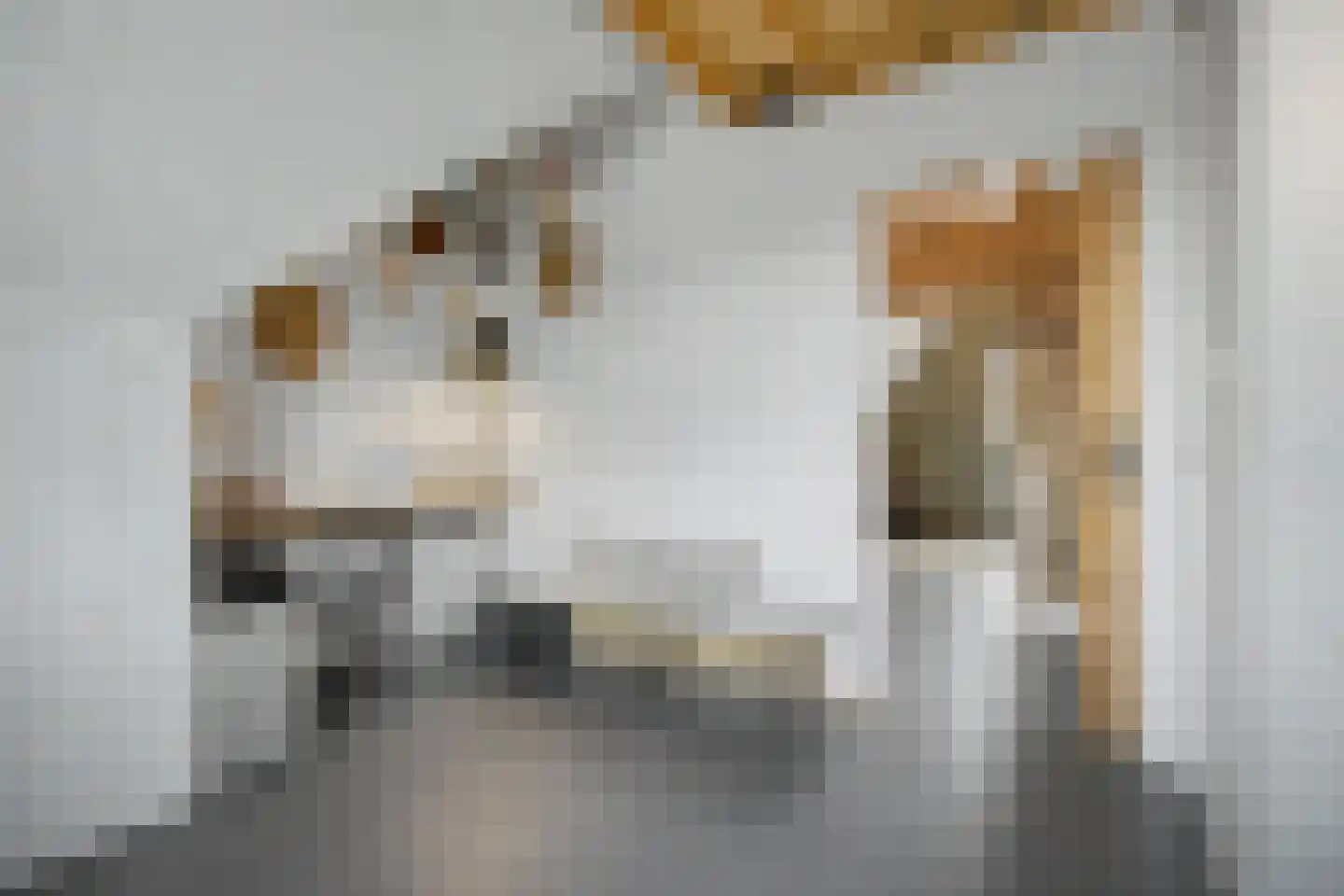 Zonnewende 29 Arnhem thumbnail 55