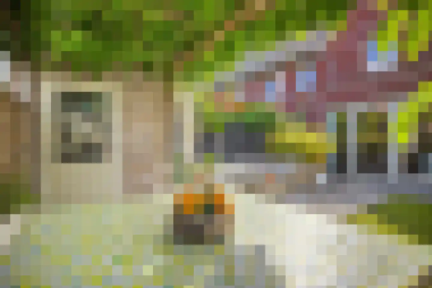 Zonnewende 29 Arnhem thumbnail 57