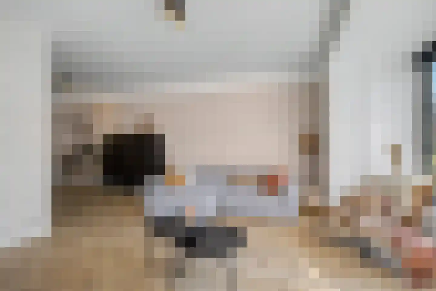 Zonnewende 29 Arnhem thumbnail 7