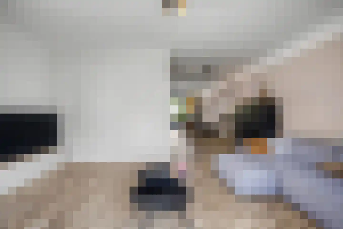 Zonnewende 29 Arnhem thumbnail 8