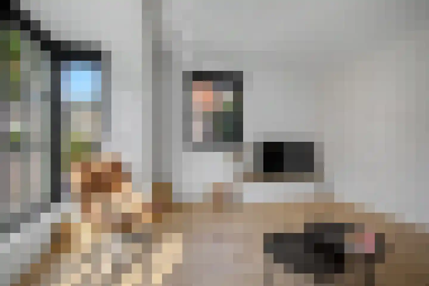 Zonnewende 29 Arnhem thumbnail 9
