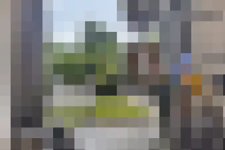 Zonnewende 300 Apeldoorn thumbnail 12
