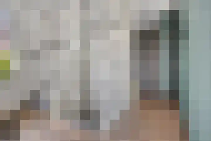 Zonnewende 300 Apeldoorn thumbnail 15
