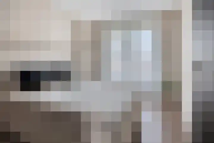 Zonnewende 300 Apeldoorn thumbnail 16