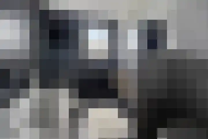 Zonnewende 300 Apeldoorn thumbnail 18