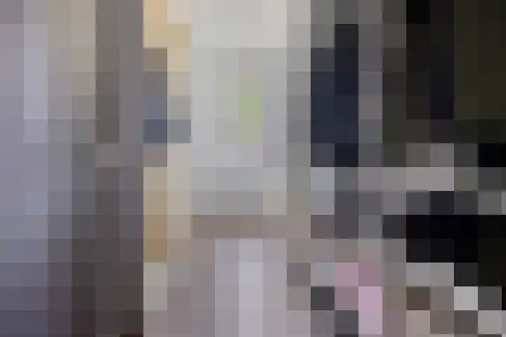 Zonnewende 300 Apeldoorn thumbnail 23
