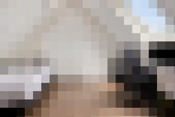 Zonnewende 300 Apeldoorn thumbnail 26