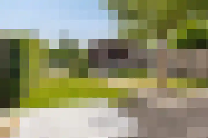 Zonnewende 300 Apeldoorn thumbnail 27