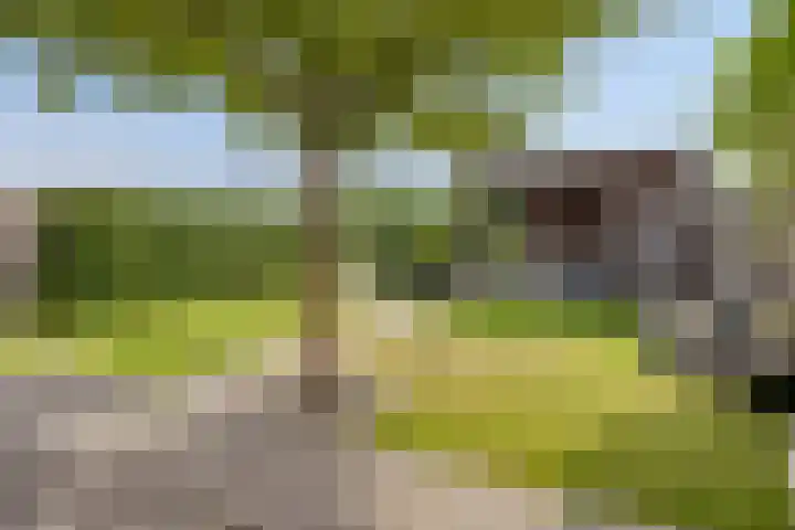 Zonnewende 300 Apeldoorn thumbnail 28