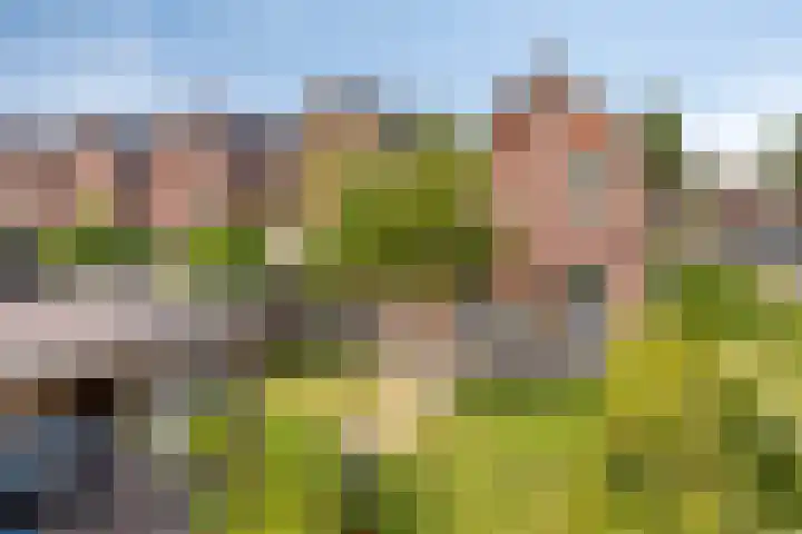 Zonnewende 300 Apeldoorn thumbnail 32
