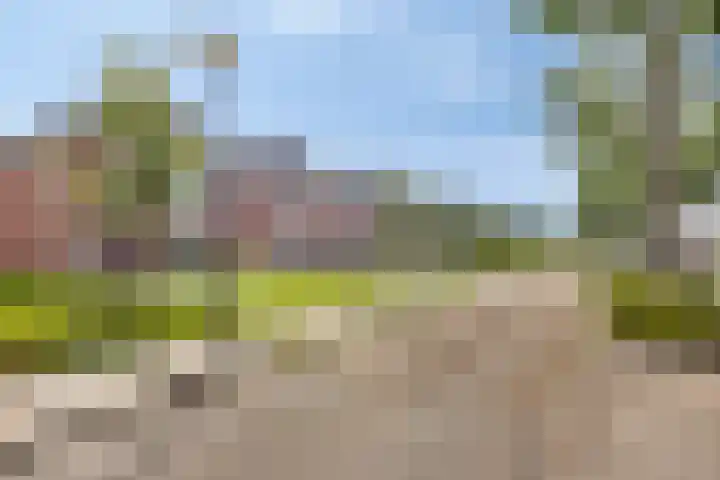 Zonnewende 300 Apeldoorn thumbnail 34