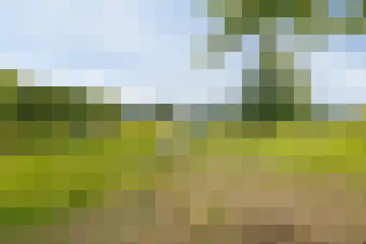 Zonnewende 300 Apeldoorn thumbnail 36