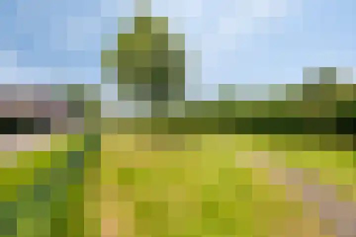 Zonnewende 300 Apeldoorn thumbnail 37