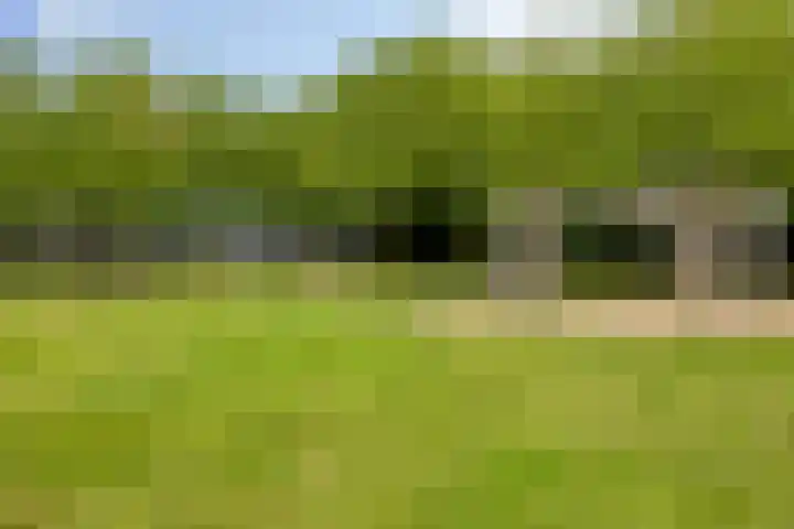 Zonnewende 300 Apeldoorn thumbnail 39