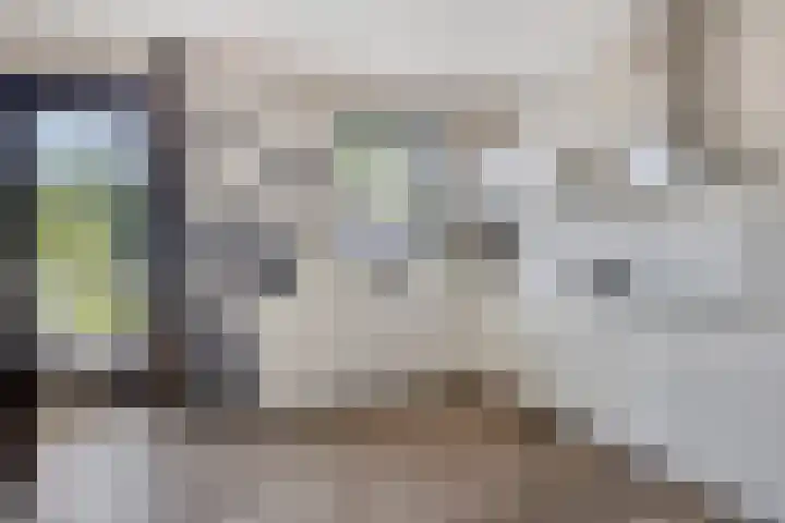 Zonnewende 300 Apeldoorn thumbnail 4