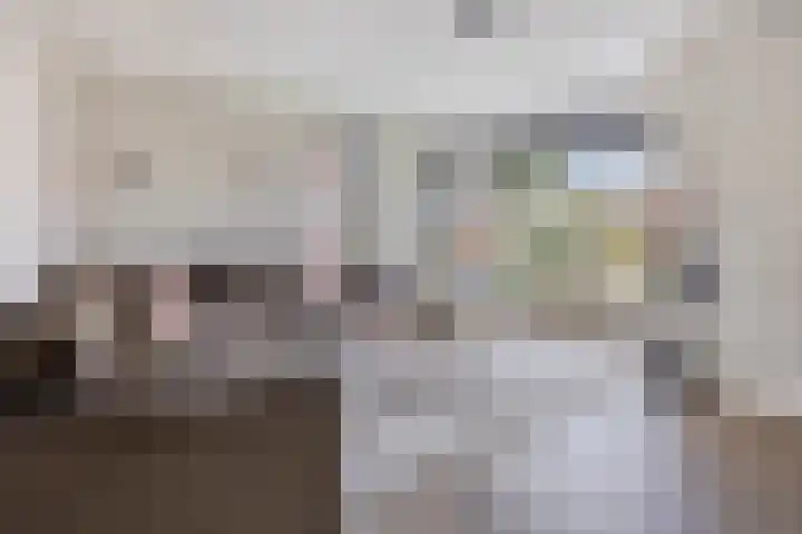 Zonnewende 300 Apeldoorn thumbnail 5