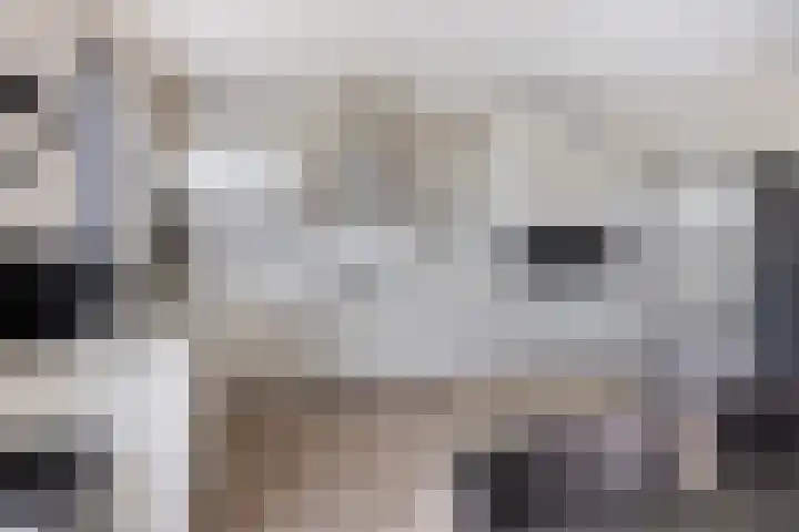 Zonnewende 300 Apeldoorn thumbnail 9