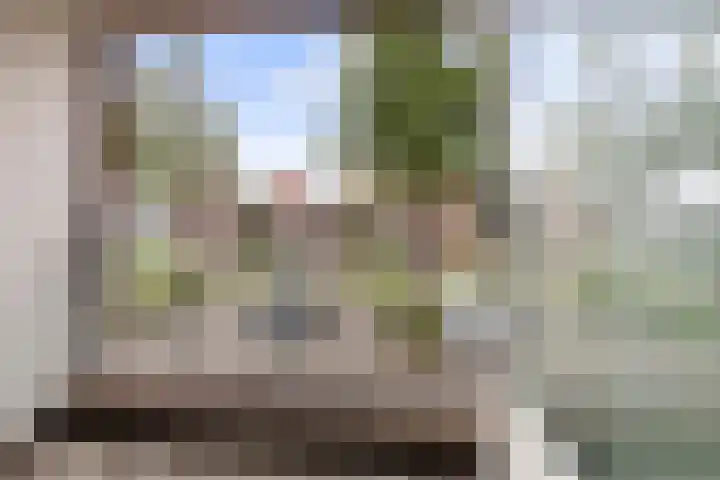 Zonnewende 307 Apeldoorn thumbnail 18