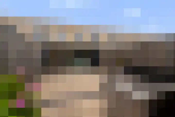 Zonnewende 307 Apeldoorn thumbnail 27