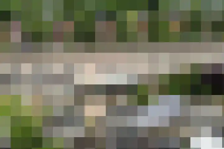 Zonnewende 307 Apeldoorn thumbnail 32