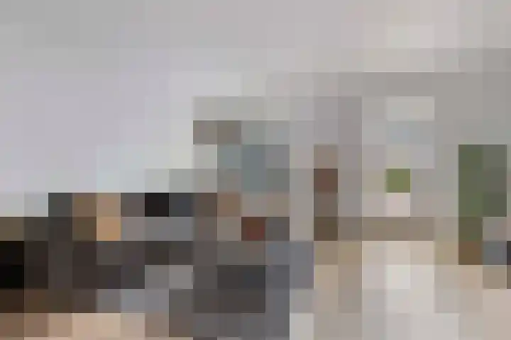 Zonnewende 307 Apeldoorn thumbnail 5