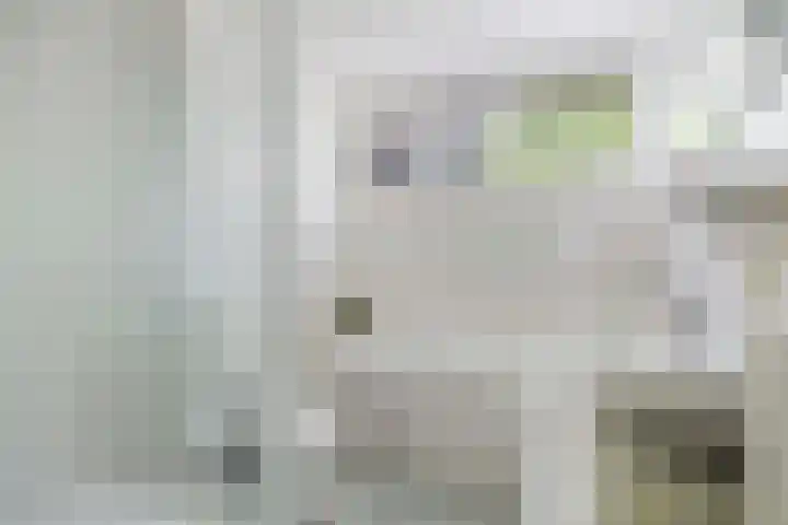 Zonnewende 315 Apeldoorn thumbnail 11