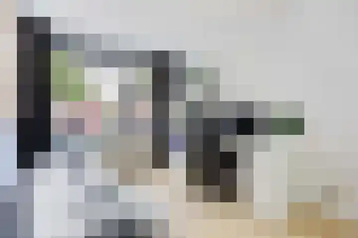 Zonnewende 315 Apeldoorn thumbnail 13