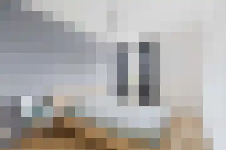 Zonnewende 315 Apeldoorn thumbnail 14