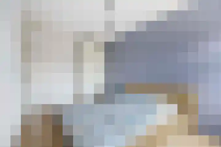 Zonnewende 315 Apeldoorn thumbnail 15