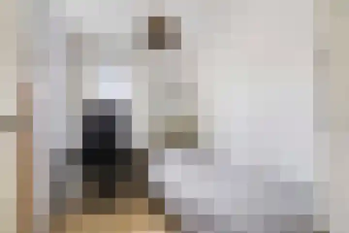 Zonnewende 315 Apeldoorn thumbnail 16