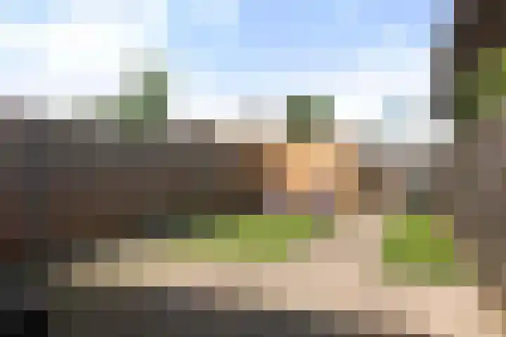 Zonnewende 315 Apeldoorn thumbnail 19