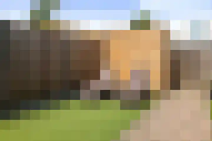 Zonnewende 315 Apeldoorn thumbnail 20