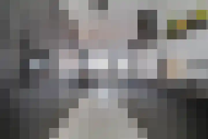 Zonnewende 323 Apeldoorn thumbnail 11
