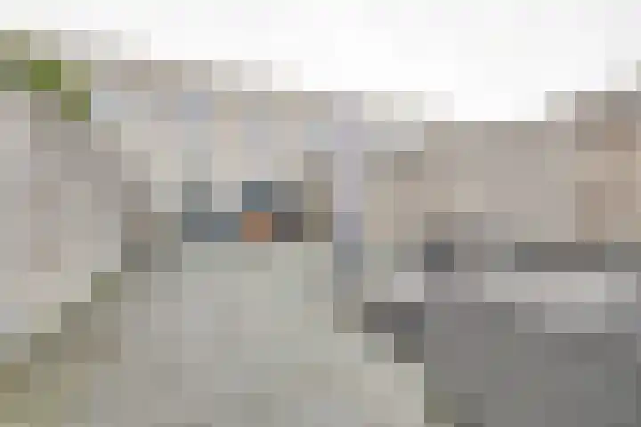 Zonnewende 323 Apeldoorn thumbnail 23