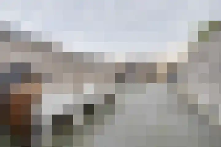 Zonnewende 323 Apeldoorn thumbnail 26