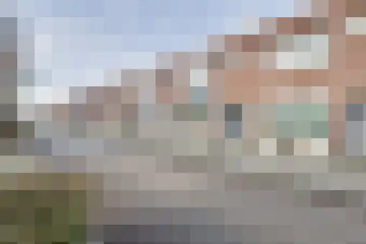 Zonnewende 323 Apeldoorn thumbnail 28