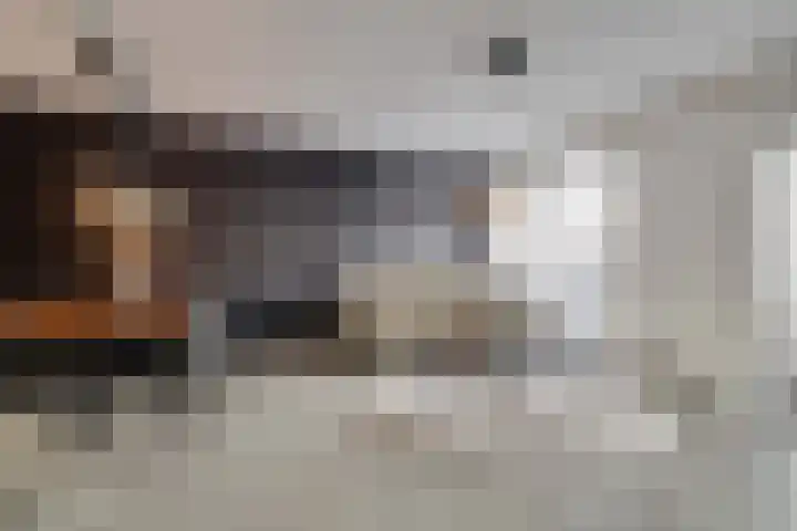 Zonnewende 323 Apeldoorn thumbnail 4