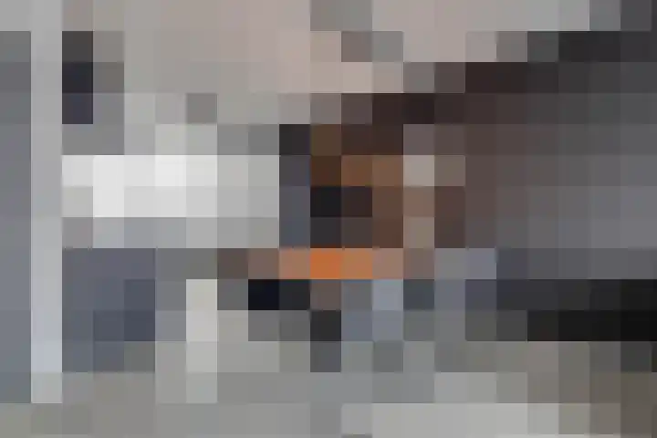 Zonnewende 323 Apeldoorn thumbnail 8
